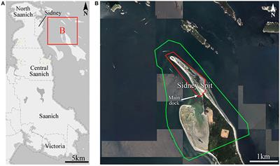 Modeling Both the Space and Place of Coastal Environments: Exploring an Approach for Developing Realistic Geovisualizations of Coastal Places